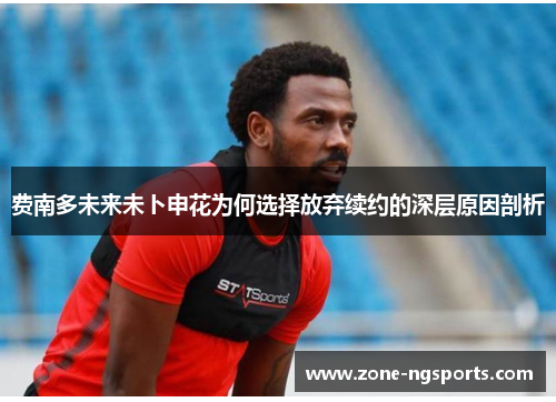费南多未来未卜申花为何选择放弃续约的深层原因剖析
